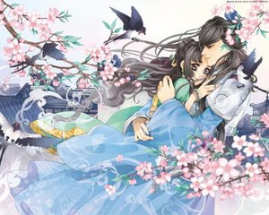 海角 爱新觉罗兄妹